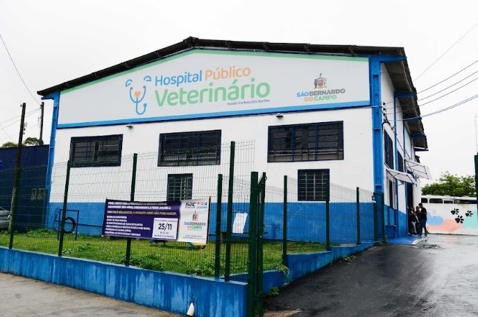 Hospital Veterinário De São Bernardo Completa Um Mês Com 551 Animais ...