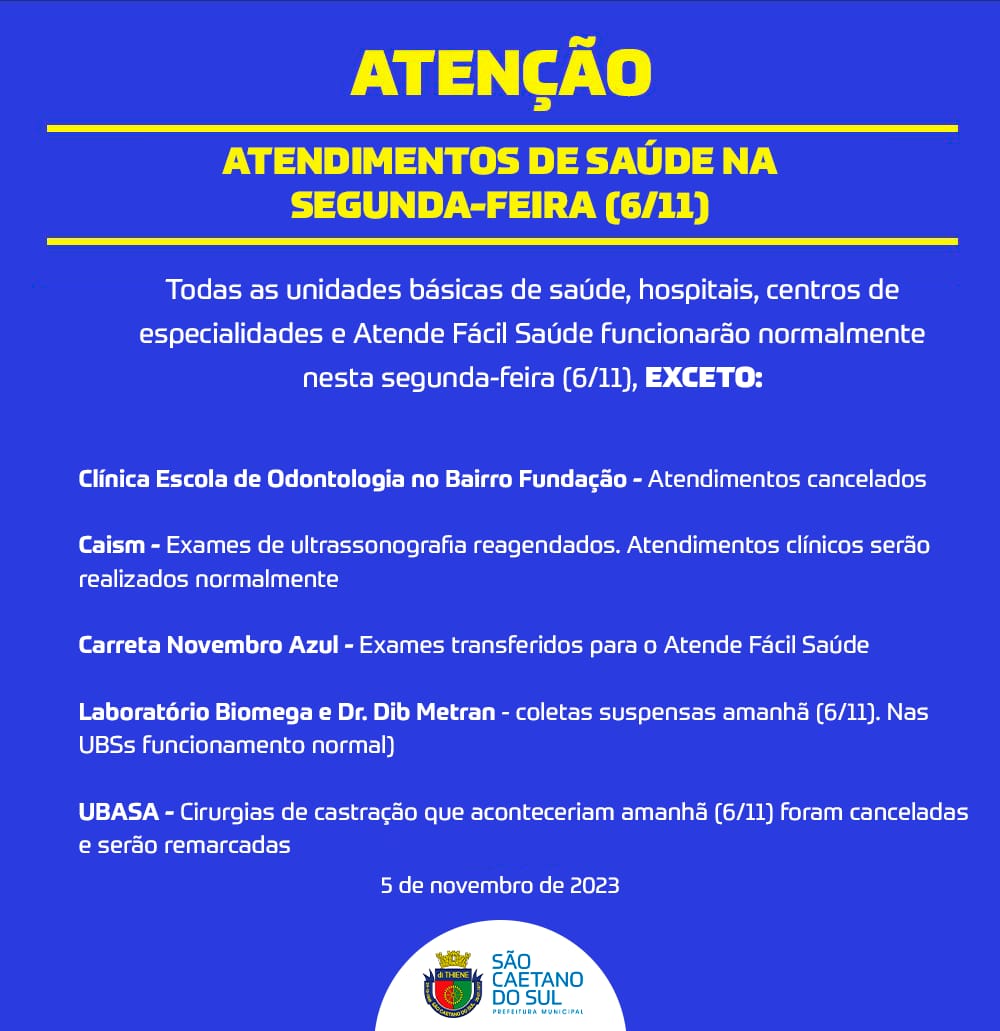 Palmeiras confirma título do Brasileirão 2023. Santos vai jogar a série B  pela primeira vez na história - ABC em OFF